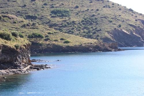 mduranvl's profile picture. Deporte desde el sofá😍😌🤡