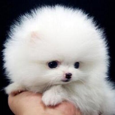 fujiwara1022's profile image