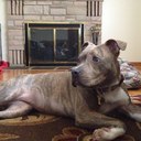 Jason DeVirgilio - @JasonMoose1036 - Twitter