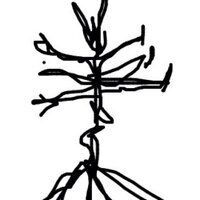 †きみどりさん† (@kimidori_s) 's Twitter Profile