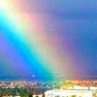 Remembering Steve (@rememberinsteve) 's Twitter Profile