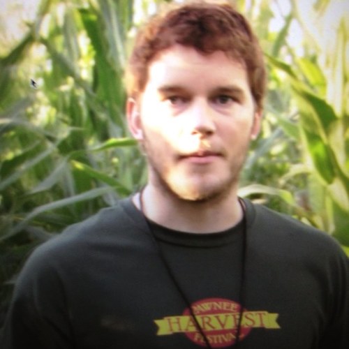 lmattystevesl's profile picture. 