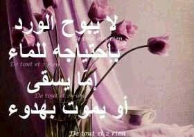 بعض القلوب النادره تشبہ الورد
لا زارها احساس المحبہ رواها ❤