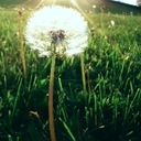 Marta Bennett - @MartaBKenya - Twitter