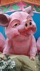 妄想だけでごはん３杯いけます。割と変態です。沖田総司スキー！