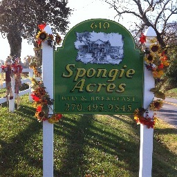 clintksr's profile picture. Bowling Greens Premier Bed and Breakfast