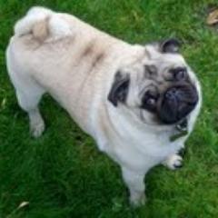 muralim0909's profile picture. 