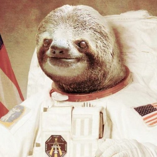 movie recommendations by sloths for sloths.......... 

your source for movies to watch when you're too lazy to pick your own!