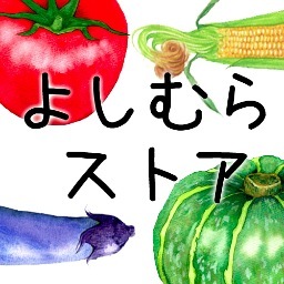愛知県知多郡武豊町にあるスーパー「よしむらストア」のアカウントです。お買得情報やタイムサービス等のリアルタイムな情報などをツイートします。