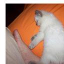 Liz Currie - @Lizziu - Twitter