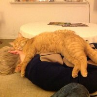 mads moxoll (@moxoll) 's Twitter Profile