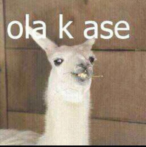 Una llama jugando al call of duty ?? Epico