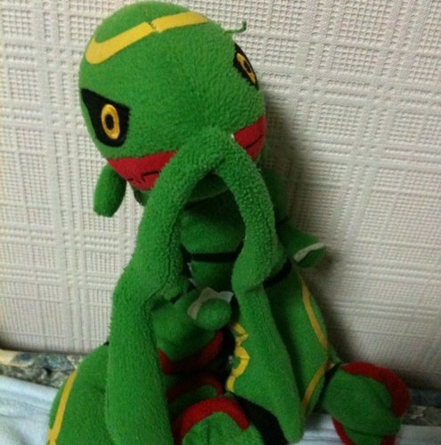 taroshintyan's profile picture. 努力を語るな、結果で示せ‼