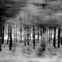 Designer and photographer based in Sydney, NSW.