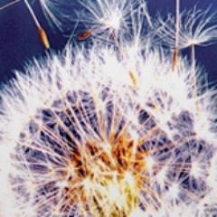 NWCHhomeopathy Profile Picture