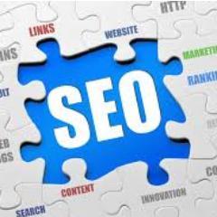 Off Page SEO, On Page SEO, SMO. I recovered many website from Google Panda and Penguin Effect.