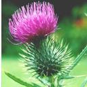 Kerry Smith - @kerrysmithuae - Twitter