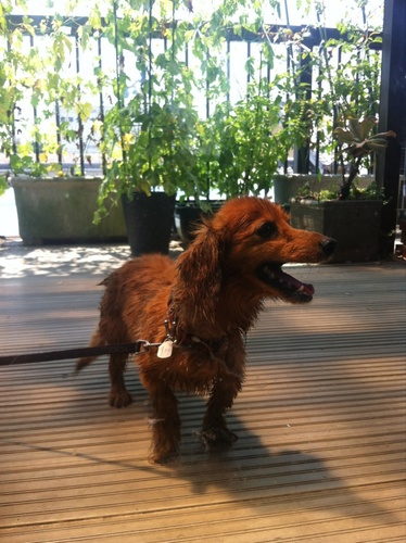 056359354689's profile picture. 桐蔭/中大/剣道部/学校関係勤務/ニートではない