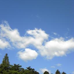 ide_tomo's profile picture. 