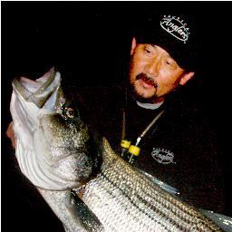 Crazy Alberto Knie Profile