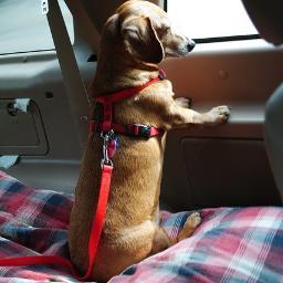 monteathj's profile picture. Featured writer for Lastminute and Roadsister *** http://t.co/rdbMC1v5Lb *** http://t.co/oBo9w6iLeI