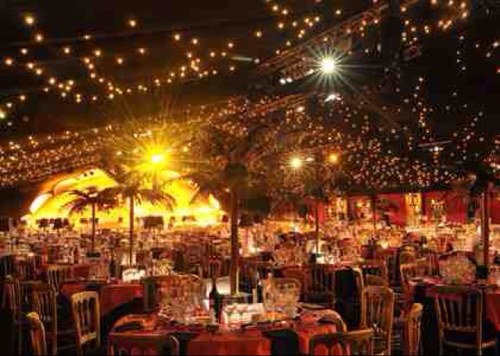 XmasPartyStore's profile picture. 