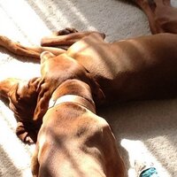 mike allen (@allen2267) 's Twitter Profile