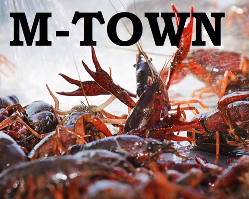 Welcome to the official Twitter account of the best annual Crawfish Bash in the Lone Star State.  We bring the heat every year.  Only in Manvel Texas.
