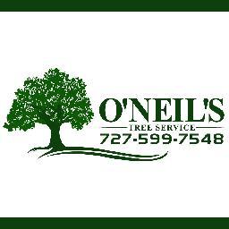 Residentail & Commerical Tree Services In Palm Harbor, Clearwater, Tampa and Surrounding Areas in Pinellas and Hillsborough Counties