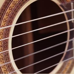 Guitar, Mandolin, Lute and Mandolinorchestra - that's our focus!