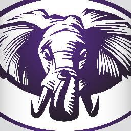 PurpleElephantD's profile picture. Brought to you by Jason Caba Cabacungan & Allan Ajaye Skeene... We're Here #PurpleElephantSociety 2011