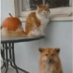 DianeLoganNOLA's profile picture. Ya never too hot,never too cold,never too young,never too old,never too skinny,never too fat,never too Dog,never too Dat. Just where ya are,that's where its at.