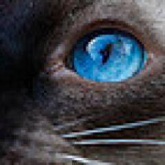 fuerasistema's profile picture. bienvenido a mi twiter no oficial