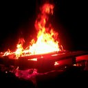 bob levesque - @bob_da_fish - Twitter