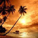 ابومجاهد (@0556166468) Twitter