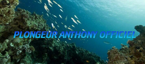 PLONANTHOFFICIE's profile picture. visiter le site