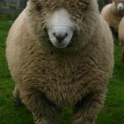 janeann54's profile picture. 