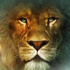 Christian,writer,thinker,political Activist,-rinos,- haters,+music+Spinone+cat+celli+guitar+green eyes. Fresh BA in Homeland Security and Emergency Management