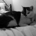 David  - @DavidSeibold1 - Twitter