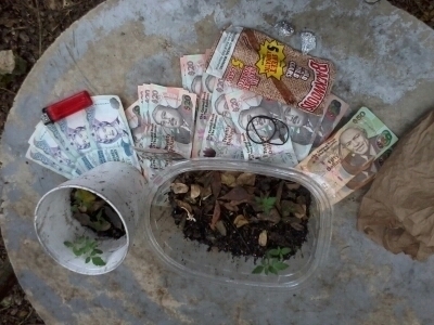 Gettin Money is my option