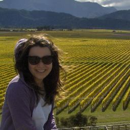 Master International Vintage: Enology, Viticulture and Marketing. WineLover