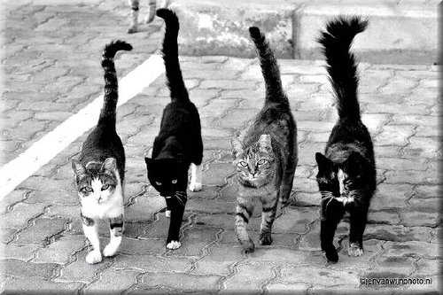 vivi_rodas's profile picture. 