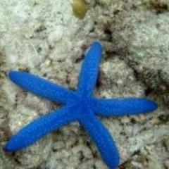 kssamuel's profile picture. Enthusiastic DC dweller dedicated to
Sedulous restaurateurs, Vino, Labs & Luis.