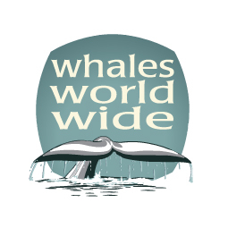 Responsible whale and dolphin watching holidays to iconic locations. Guided by well-known zoologist, conservationist and naturalist, Nic Slocum @whalewatchcork