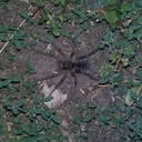 michael charboneau  - @charboneau_73 - Twitter