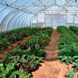 Greener Partners' Farm Explorer™ is a living, hands-on mobile farm that connects people to food from seed to plate.