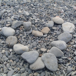 _Nin_s's profile picture. 