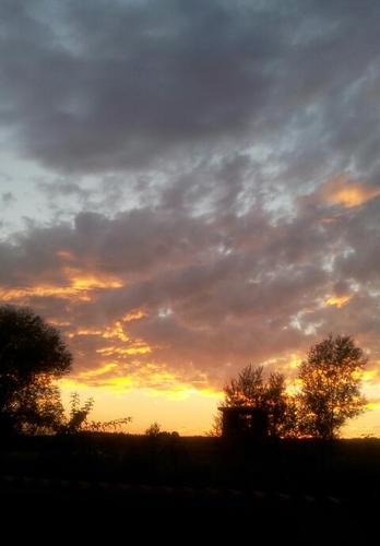 soyelena10's profile picture. 