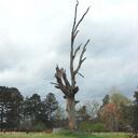 Ken Messinger - @CajonKen - Twitter