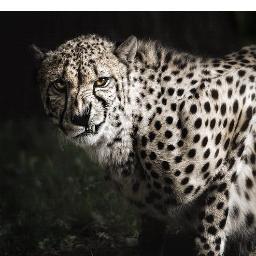 mostImages's profile picture. Enjoy The Most Amazing Images around you